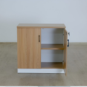 2 Door Executive Cupboard