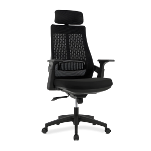 Lama Ergonomic office chair