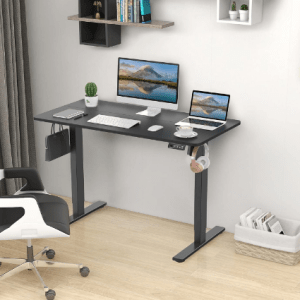 Standing Electric Desk